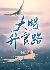 大明升官路 大明升官路
